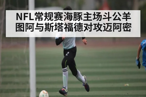 NFL常规赛海豚主场斗公羊 图阿与斯塔福德对攻迈阿密