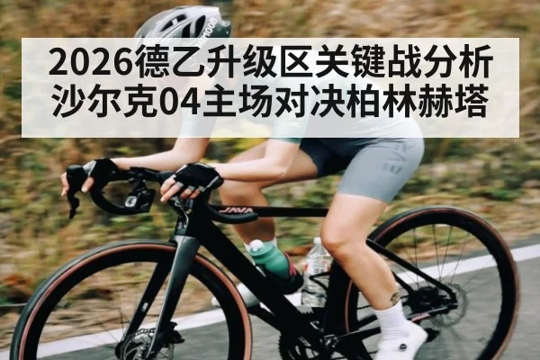 2026德乙升级区关键战分析 沙尔克04主场对决柏林赫塔